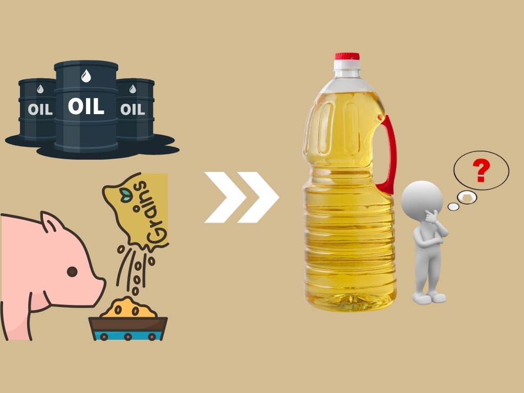 The subjects transformed the oil used for animal husbandry into human oil. Graphics: Huong Giang