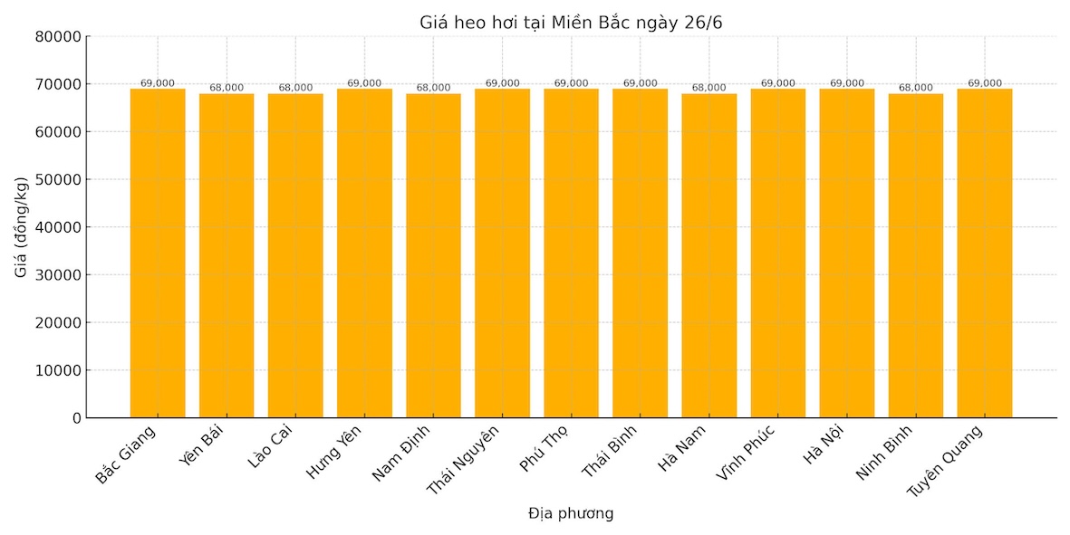 Gia heo hoi mien