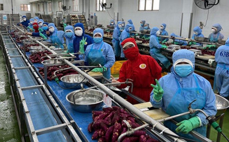 The Trade Union of Vien Son Joint Stock Company coordinated to organize a vocational skills and occupational safety and health competition at the workplace. Photo: Duc Lam
