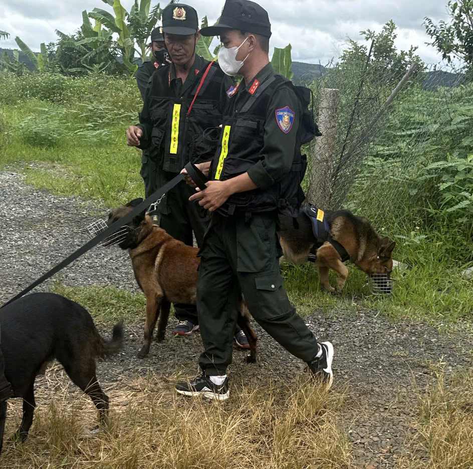 Chó nghiệp vụ được huy động để hỗ trợ khám xét khu vực nhà của cặp tình nhân mua bán trái phép chất ma túy. Ảnh: Công an cung cấp