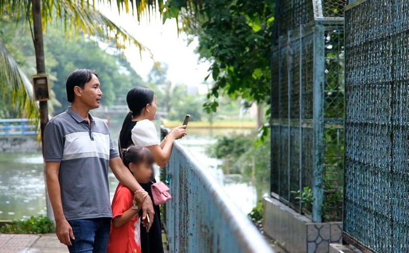 Parents take their children to Dong Tam snake farm in the summer.