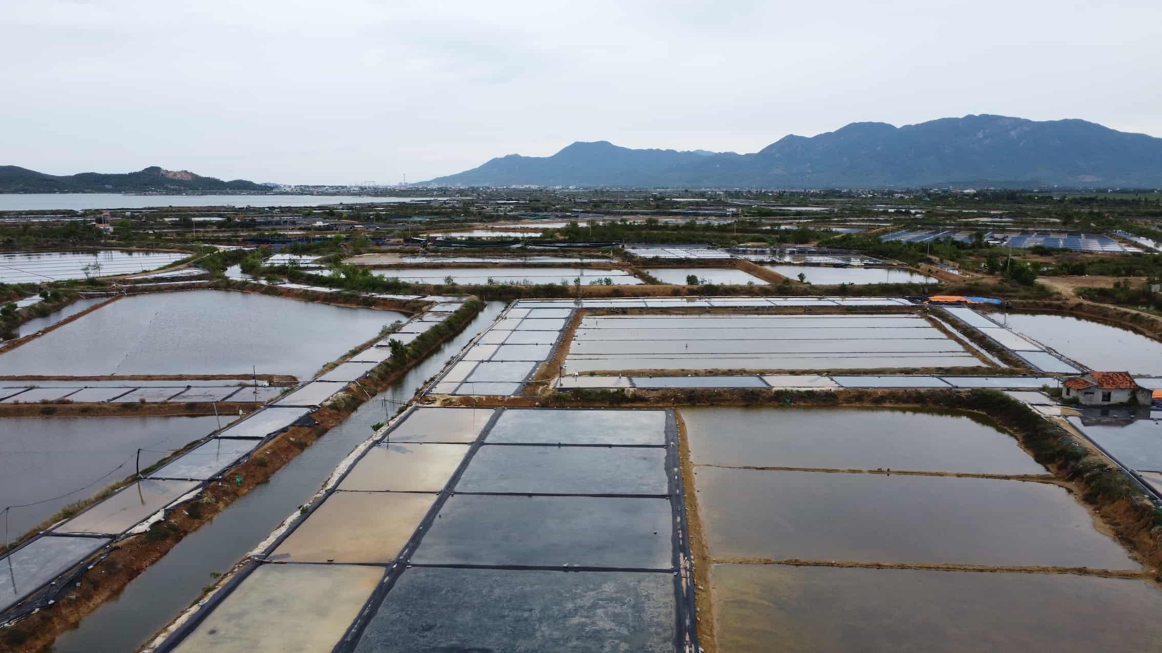 Hay docenas de hectareas de produccion de sal de personas en Ninh Tho Commune y Khanh Hoa con adquisicion de tierras para implementar el proyecto Doc Da Industrial Park. Foto: Huu Long