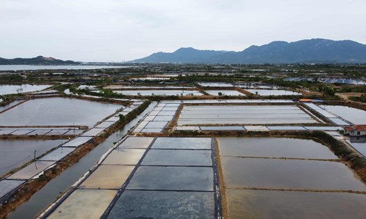 Có hàng chục ha đất sản xuất muối của người dân thuộc xã Ninh Thọ, Khánh Hòa bị thu hồi đất thực hiện dự án Khu Công nghiệp Dốc Đá Trắng. Ảnh: Hữu Long