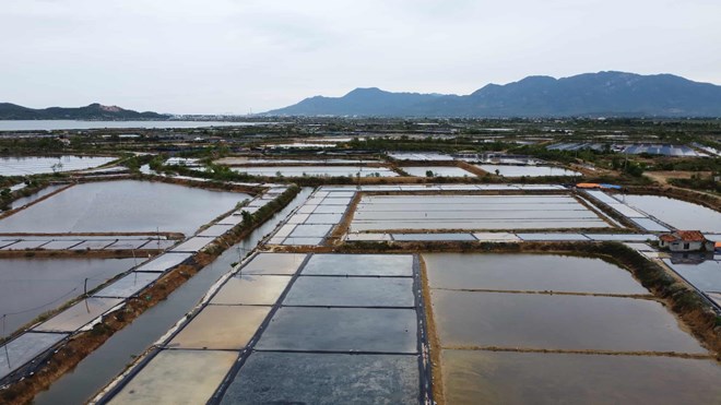 Khánh Hòa gỡ vướng giải phóng mặt bằng Khu Công nghiệp Dốc Đá Trắng