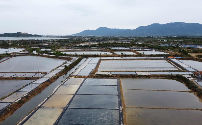 There are dozens of hectares of salt production land of people in Ninh Tho commune, Khanh Hoa whose land for the Doc Da Trang Industrial Park project has been reclaimed. Photo: Huu Long