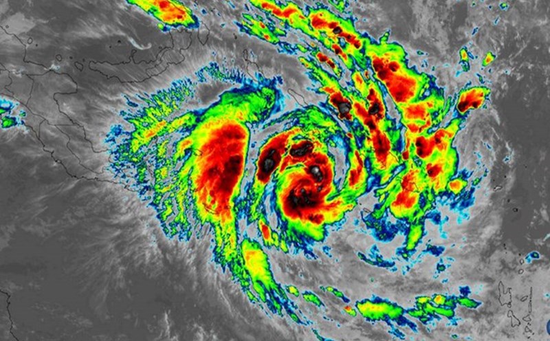 今後の台風、熱帯低気圧の動向予測