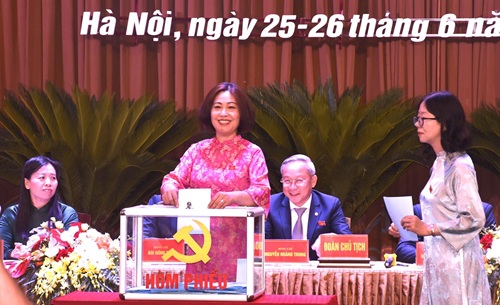 Cac dai bieu bo phieu bau