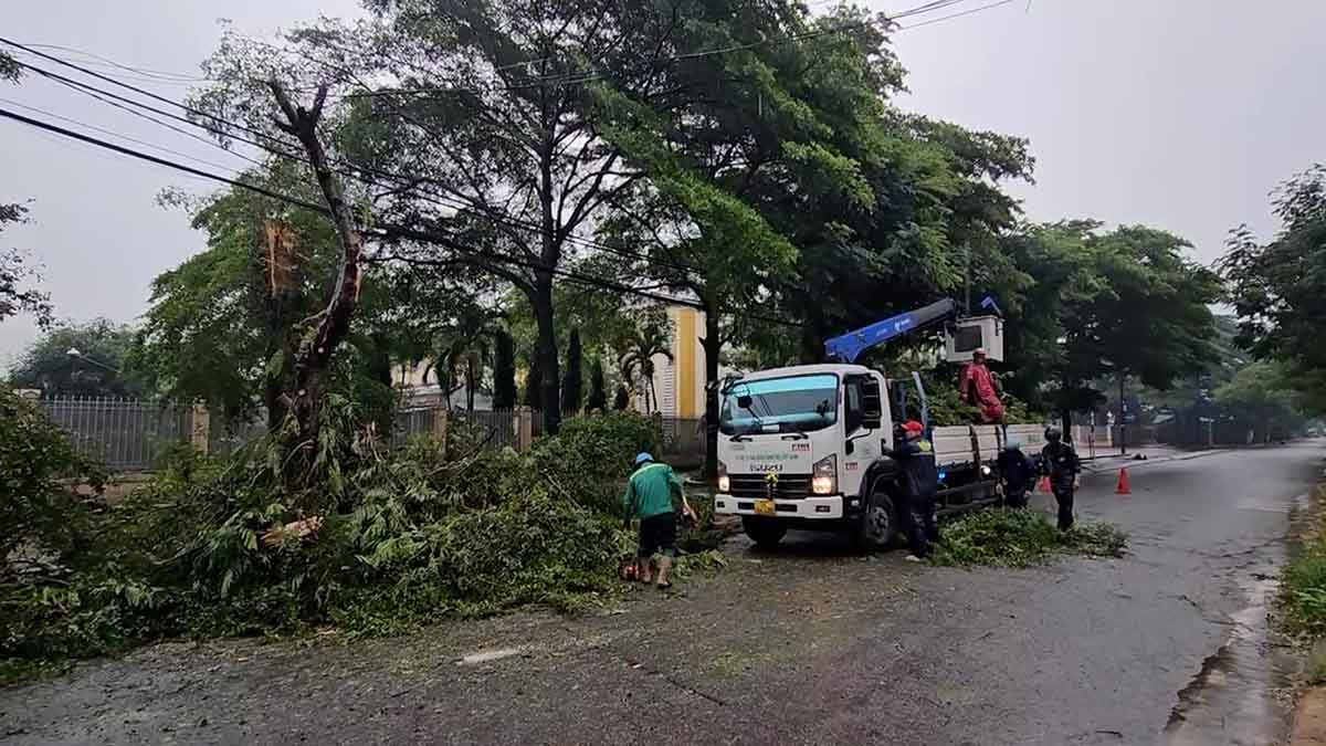 Pesadas lluvias, arboles rotos antes de las escuelas primarias en la ciudad de Ho Chi Minh.