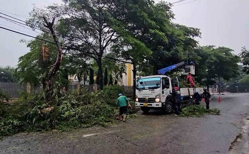 Heavy rain, trees fell in front of a primary school in Ho Chi Minh City.