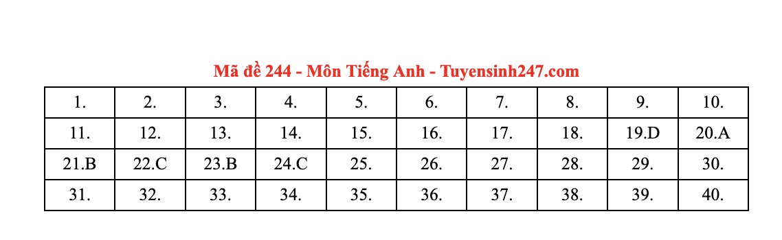 Dap an tham khao mon Tieng Anh, ky thi tot nghiep THPT nam 2025. Anh: Tuyensinh247.