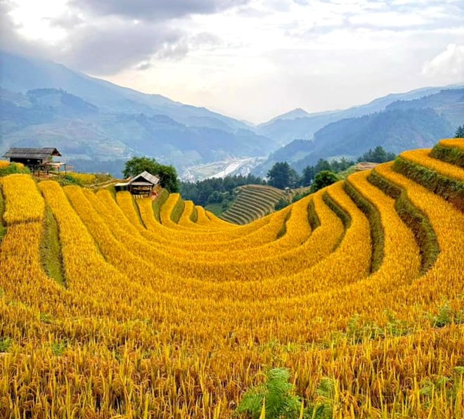 Yen Bai tim nha thau do dac, lap ban do dia chinh tai Mu Cang Chai va 3 huyen, thi khac. Anh Mu Cang Chai: Lan Hoang.