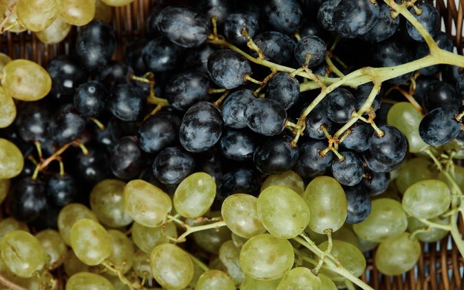 Grapes and their benefits have been scientifically proven. Photo: Thuy Duong
