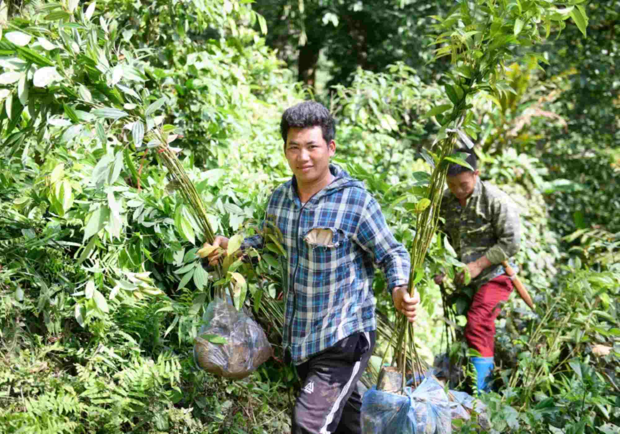 Forest Rangers, funcionarios del proyecto y personas en la campaña para la forestacion "bosque verde". Foto: Duc Van