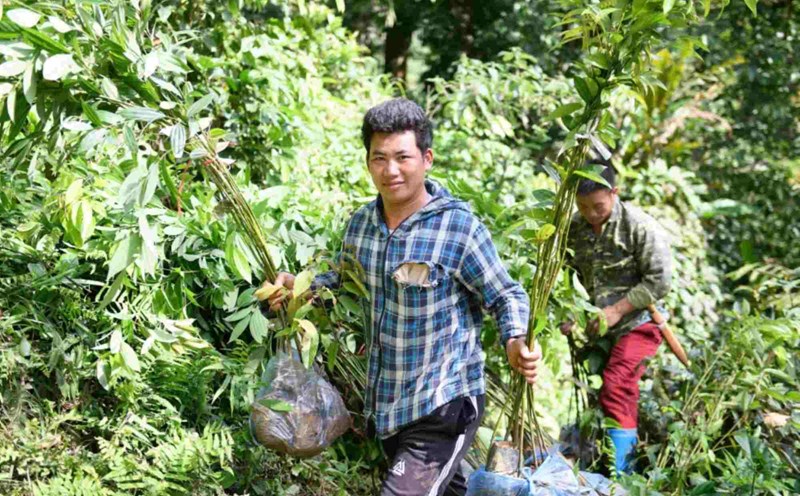 Forest rangers, project officers and people in the "Forest Green Forest" forest planting campaign. Photo: Duc Van