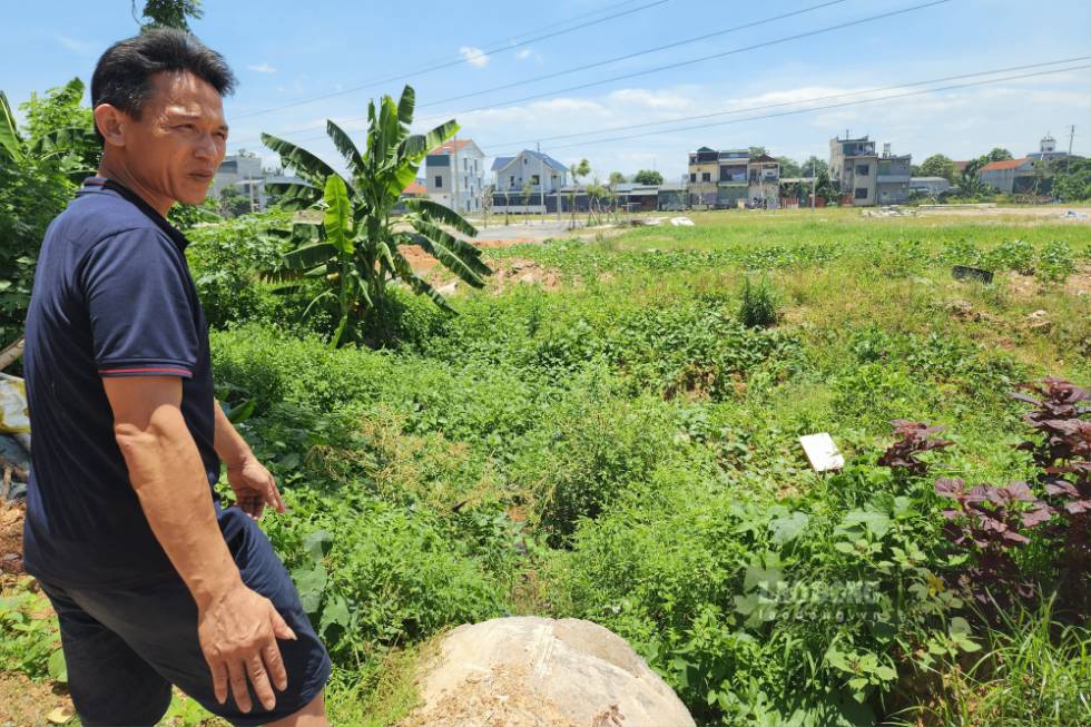 Ông Tâm bên khu đất của các em mình. Ảnh: Tô Công