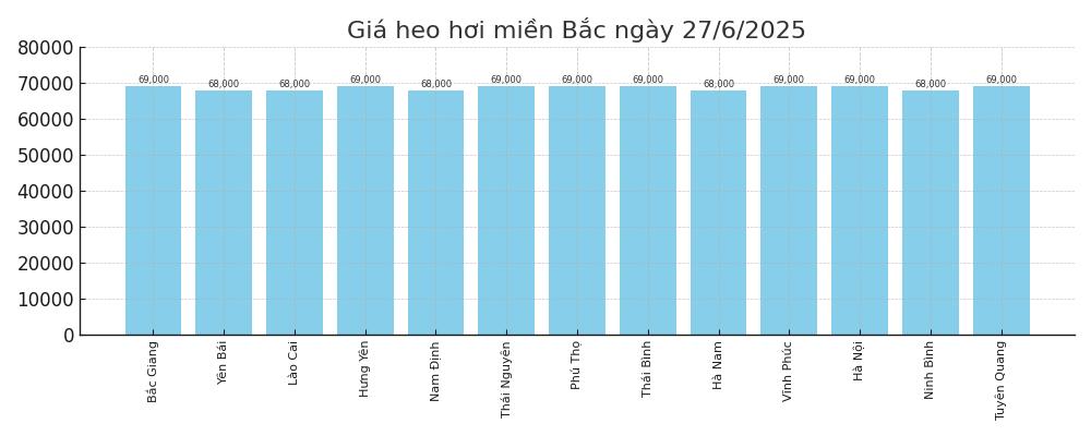 Gia heo hoi khu vuc mien Bac hom nay 27.6. Do hoa: Thuy Linh.