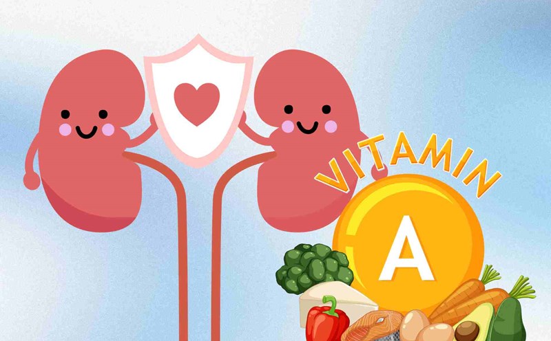 3 groups of foods that are good for the kidneys, effectively preventing stones
