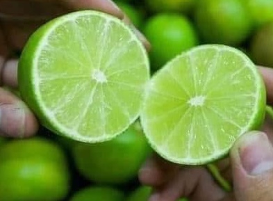 Warm, diluted lemon water is one of the morning options for people with high blood pressure. Photo: Kieu Vu