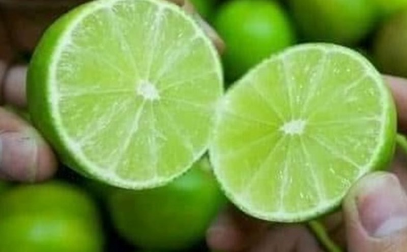 Warm, diluted lemon water is one of the morning options for people with high blood pressure. Photo: Kieu Vu