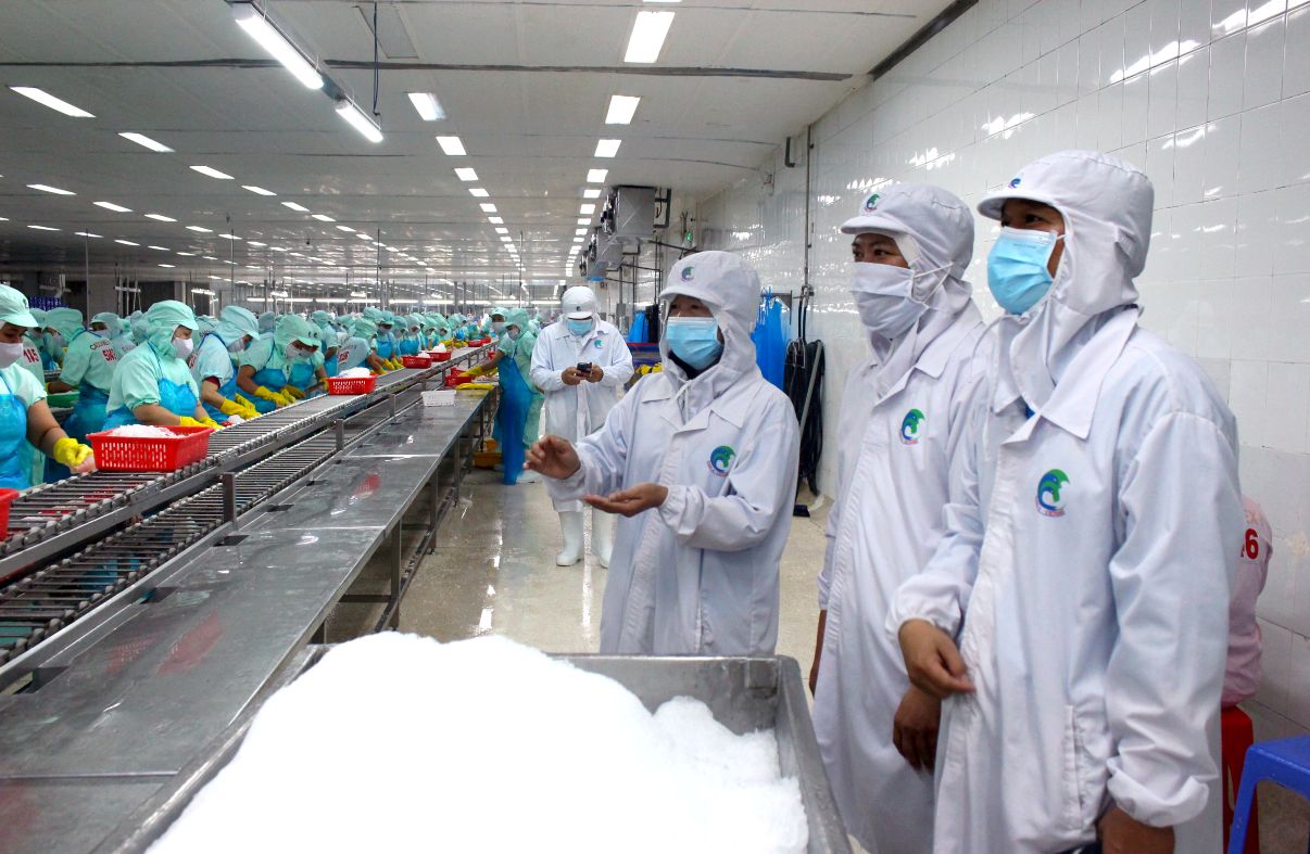 Lanh dao Lien doan lao dong tinh Dong Thap tham quan thuc te san xuat tai doanh nghiep che bien ca tra xuat khau o Khu cong nghiep Sa Dec. Anh: Thanh Mai