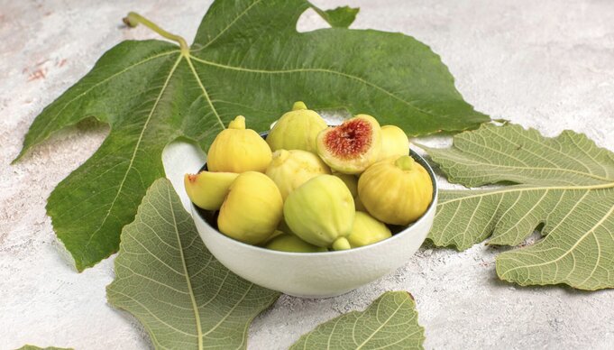 Is it good to eat figs regularly? Photo: Thuy Duong