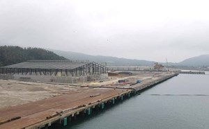 Giao gần 8ha khu vực biển để kết nối Bến cảng số 4 ở Vũng Áng