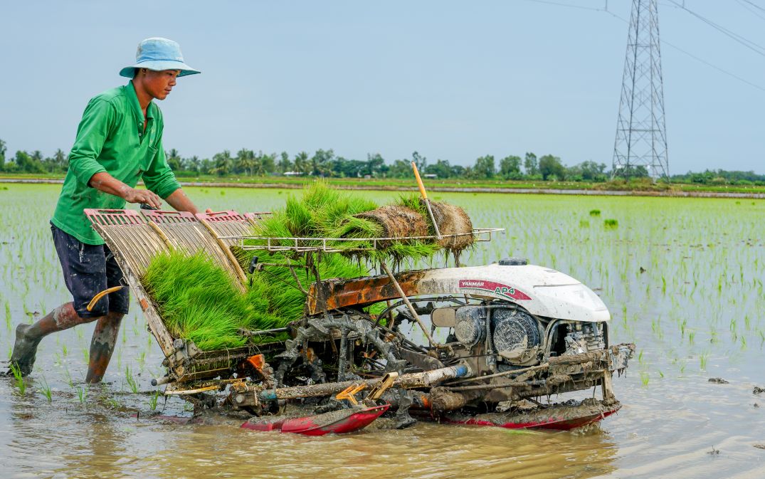 Ong Lam Van Hung, mot nong dan ky cuu tai dia phuong, chia se: “Truoc day moi vu cay la mot noi lo. Gieo sa thi de mat mua, ma thue nguoi cay tay thi chi phi cao. Tu khi co may cay, cong lao dong giam han, chi phi hop ly, lai dam bao ky thuat. Nong dan nhu toi gio da duoc len bo ngoi nhin may lam viec“.