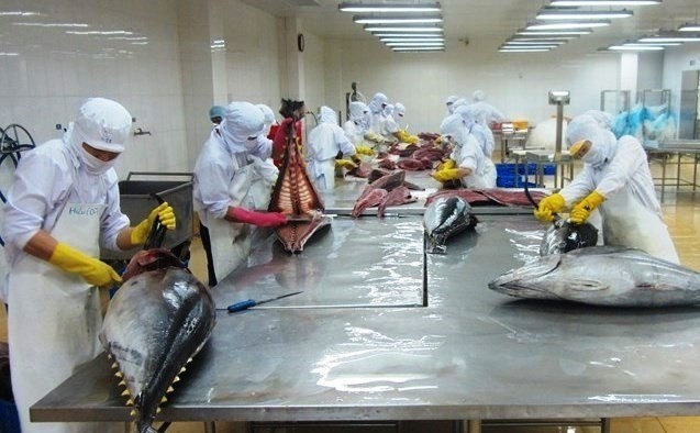 Vietnam's tuna exports face many challenges. Photo: VASEP