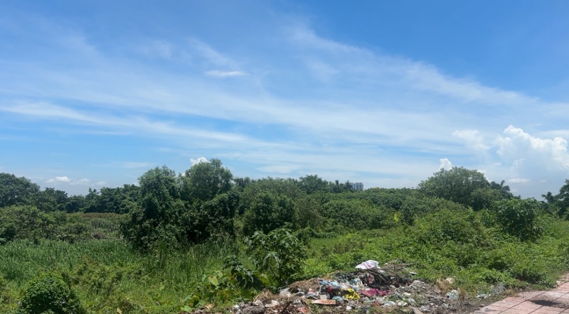 Du an ben xe Co Bi tri tre, de dat dai hoang hoa, lang phi. Anh: Nhom PV