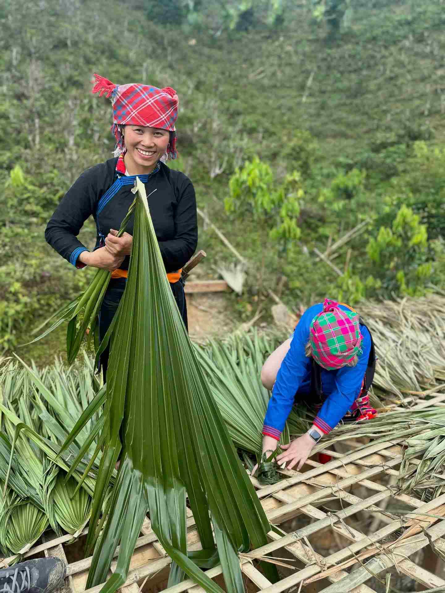Lop nha la co cung nguoi Tay Ban Lien. Anh: Do Phuc
