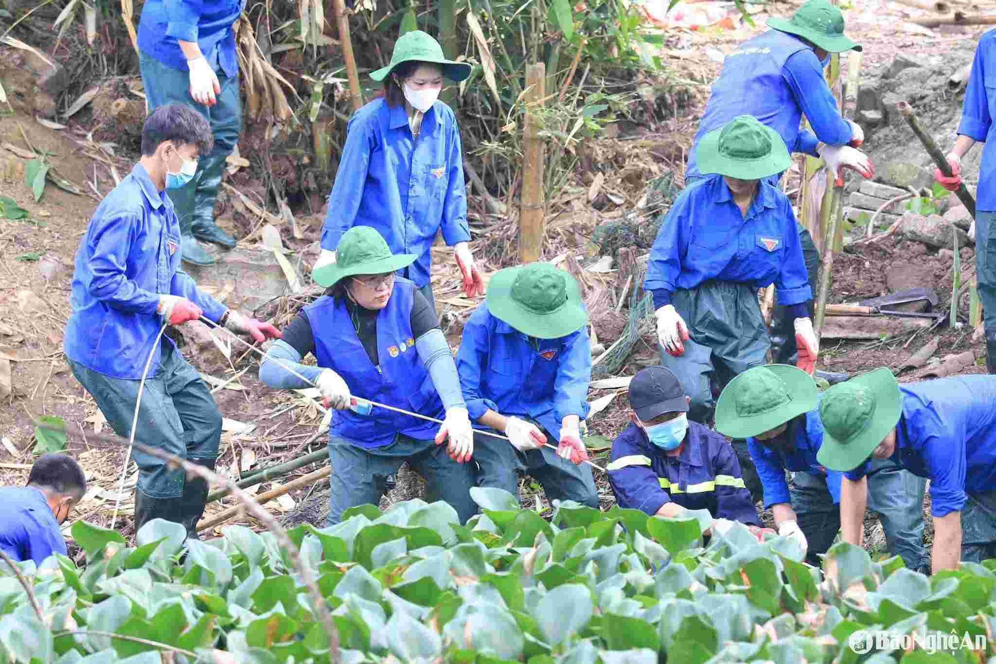 Các lực lượng đoàn viên thanh niên Nghệ An vệ sinh khu vực dòng khe bị ô nhiễm chảy qua thôn Liên Tân (thị trấn Trà Lân). Ảnh:  Ngọc Anh