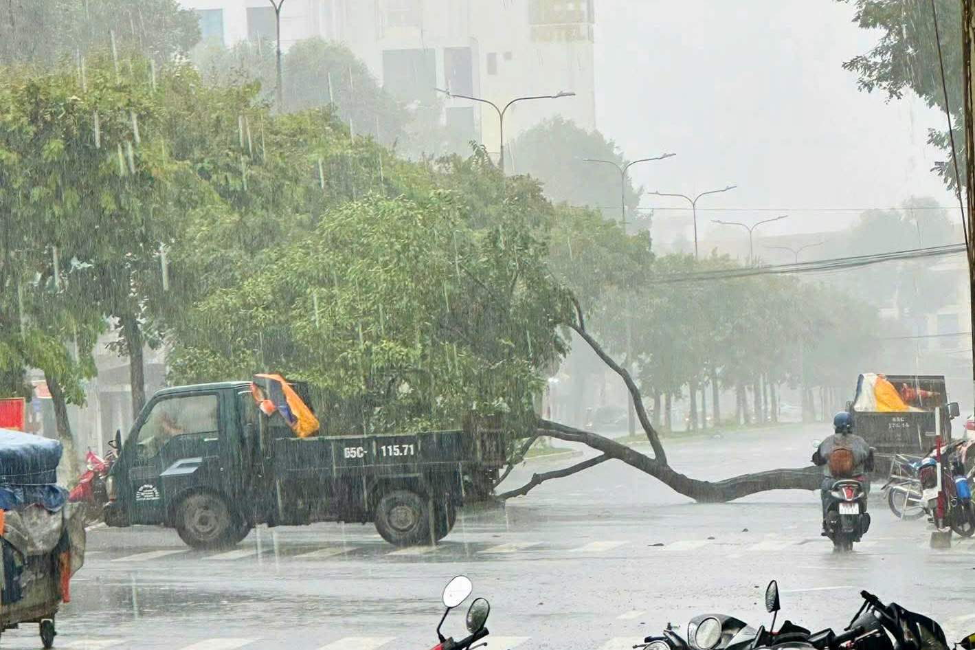 15 gio 15 phut, cay xanh o quan Ninh Kieu tiep tuc bi quat do chan ngang duong. Anh: Ta Quang