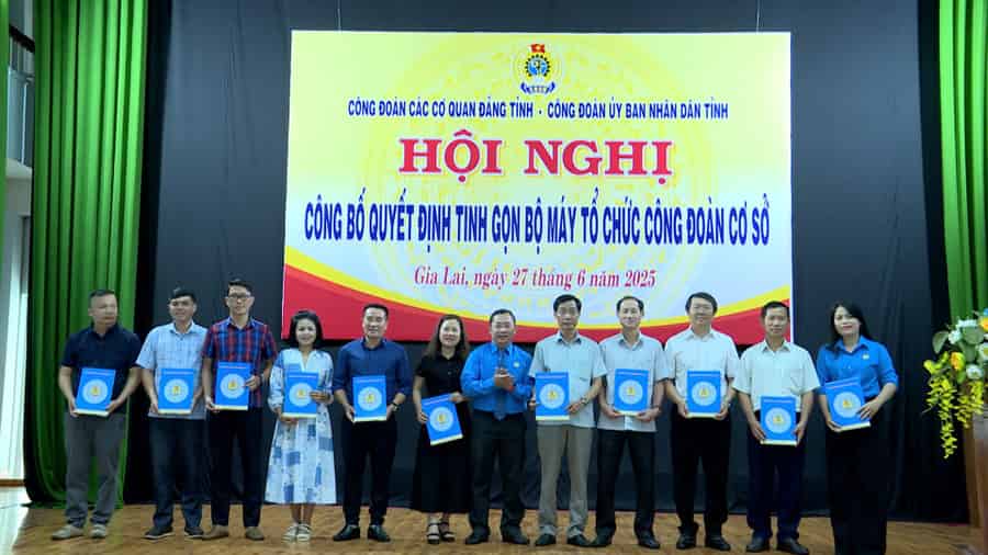 Awarding the decision to dissolve and terminate the activities of 19 grassroots trade unions of provincial Party agencies. Photo: Thanh Tuan