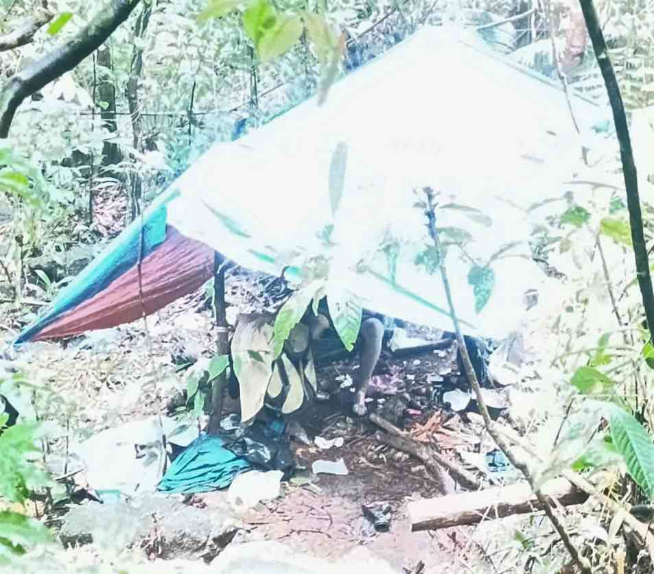 The scene of the man's death in the forest. Photo: Lam Hong