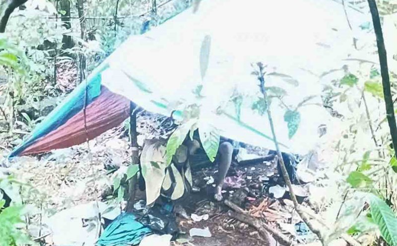 The scene of the man's death in the forest. Photo: Lam Hong