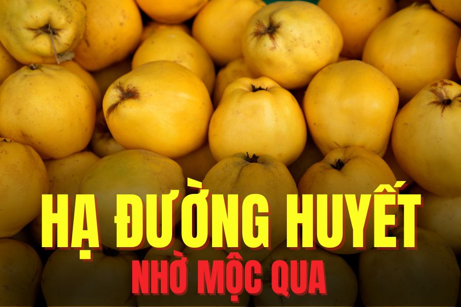 crossboards help lower blood sugar. Graphics: Tra My