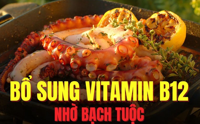 Octane is rich in vitamin B12, good for health. Graphics: Tra My