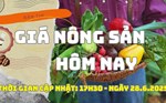 Giá nông sản hôm nay 28.6: Giá hồ tiêu khởi sắc trở lại