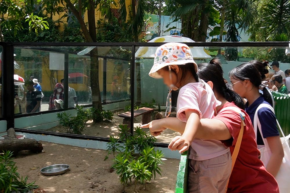 Listening to the story at the Zoo and Botanical Gardens, a new breeze for the weekend