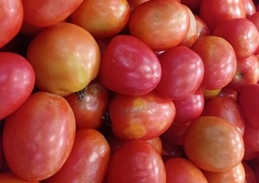 Eat tomatoes properly to effectively supplement collagen. Photo: Kieu Vu