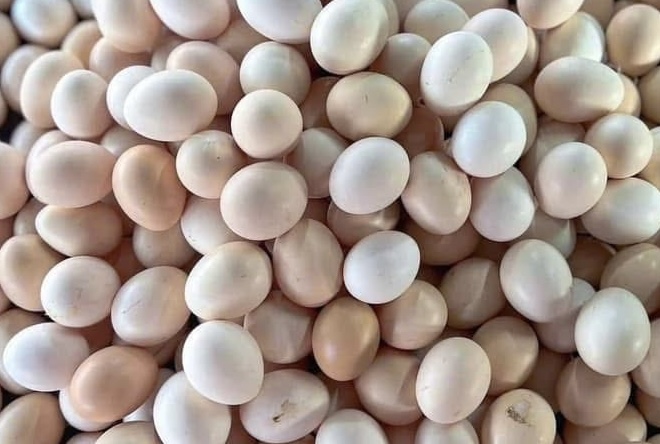 Trứng là thực phẩm được cho là tốt với mỡ máu cao khi được dùng vào bữa sang. Ảnh: Kiều Vũ