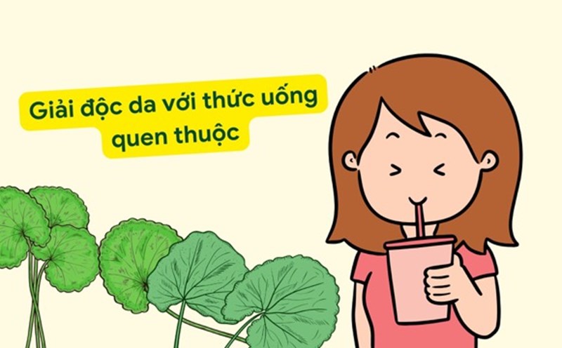 Gotu kola helps detoxify the skin effectively. Graphic photo: Huong Son