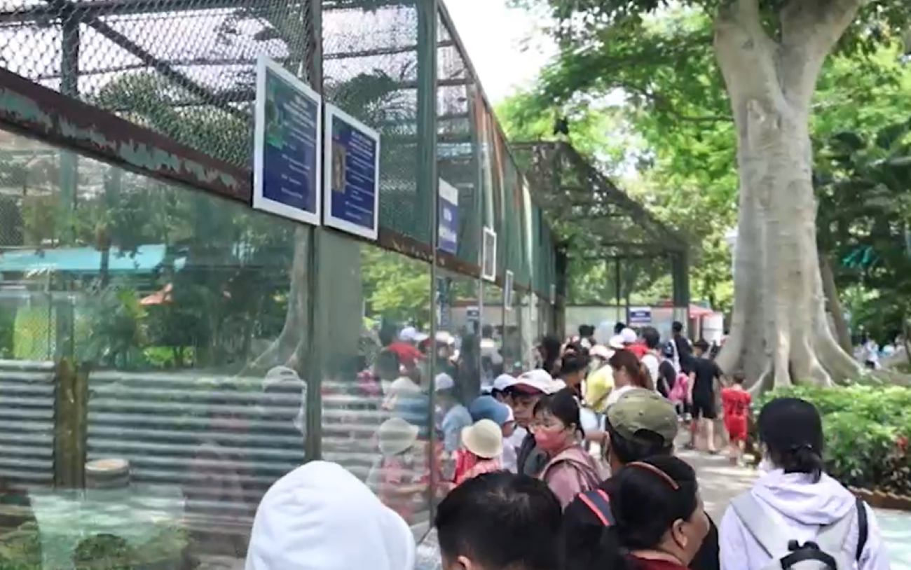 Listening to the story at the Zoo in the Zoo. Photo: Viet Anh