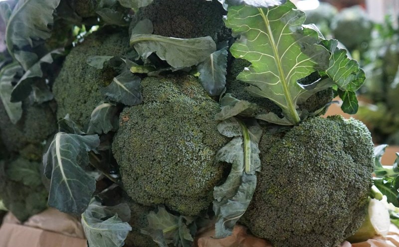 Broccoli helps control arthritis pain. Photo: Thanh Thanh