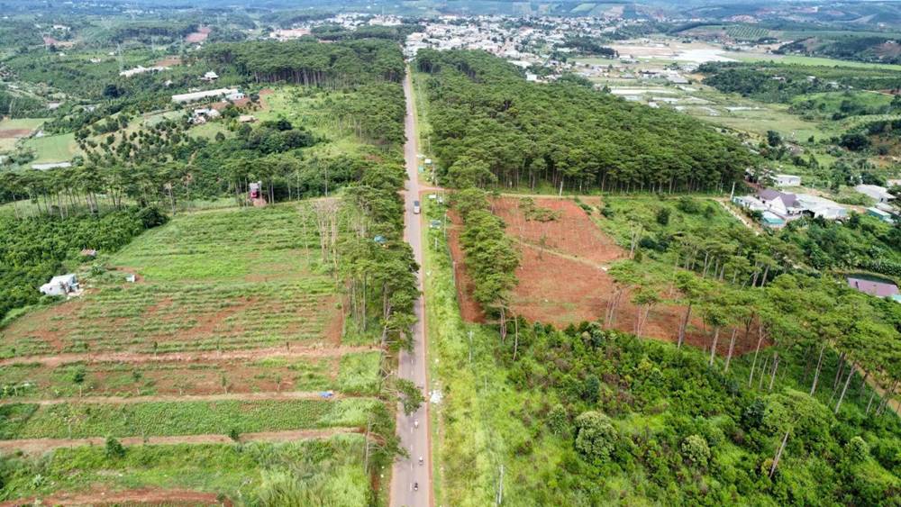 El proyecto del area de reproduccion de lacteos y lacteos se centro en aplicar aplicaciones de alta tecnologia implementadas en Quang Son Commune, distrito de Dak Glong, provincia de Dak Nong. Foto: Phan Tuan