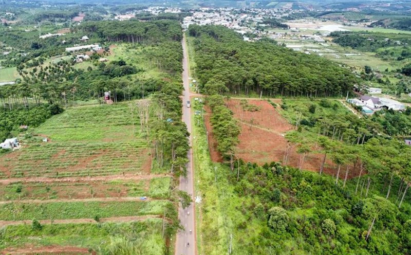 The project of concentrated dairy and dairy processing livestock farming using high technology is being implemented in Quang Son commune, Dak Glong district, Dak Nong province. Photo: Phan Tuan