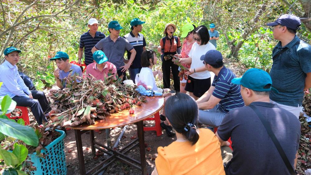 Du khach trai nghiem hai trai cay, thuong thuc tai vuon o Con Son. Anh: Phong Linh.