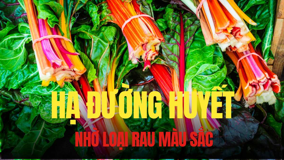 Rainbow cabbage is rich in soluble fiber, which helps slow down the digestion and absorption of sugar from food, supporting the control of hypoglycemia. Graphics: Tra My