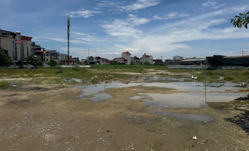 Le projet de gare routiere et de services publics de la ville de Trau Quy apres de nombreuses annees n'est toujours qu'un terrain vague. Photo : Groupe PV