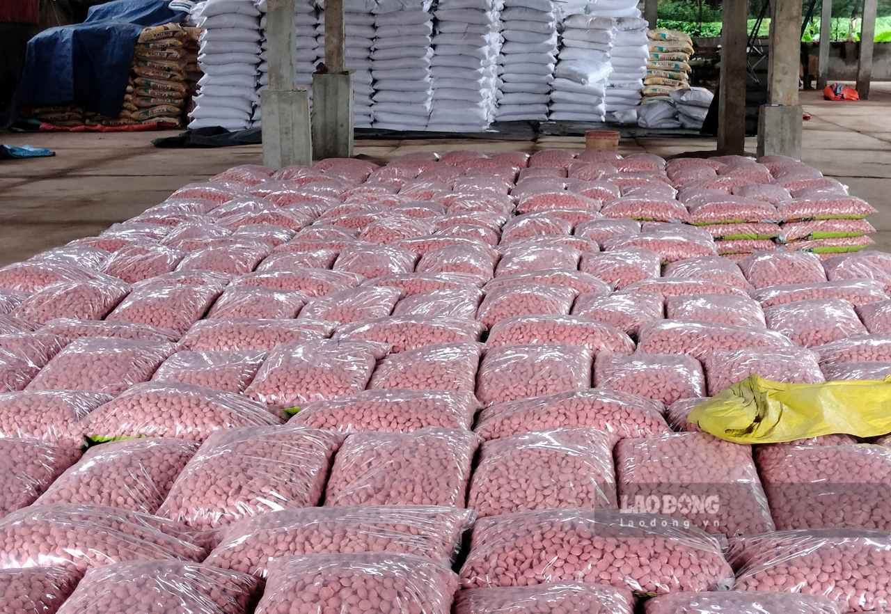 Cơ sở sản xuất phân bón nhập đạm, lân, kali từ nơi khác để về gia công, sản xuất thành phân dúi. Ảnh: Văn Đức.